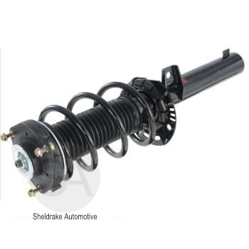 Complete Strut Assembly - front - Click Image to Close